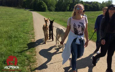 Familie bei der Alpakawanderung bei Alpaka-TEAM in Durchhausen bei Tuttlingen